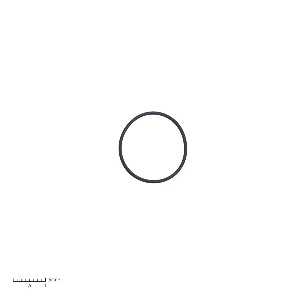O-Ring