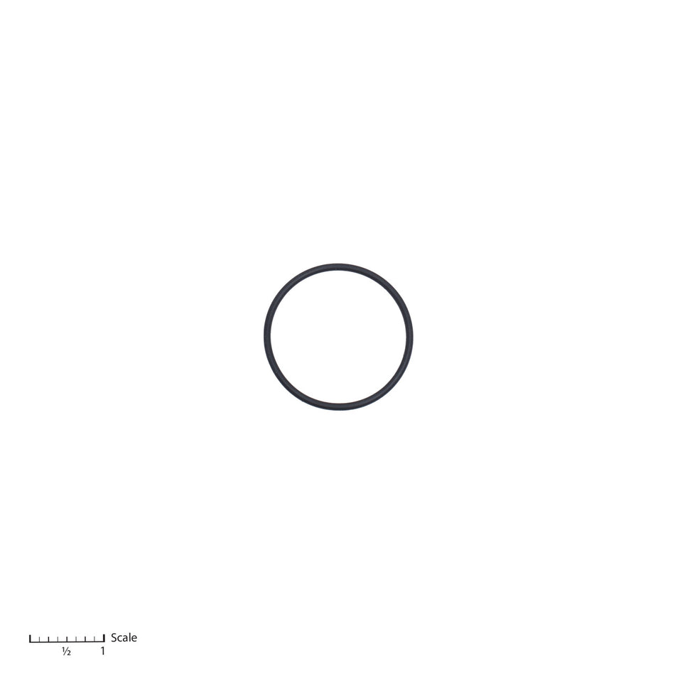 O-Ring