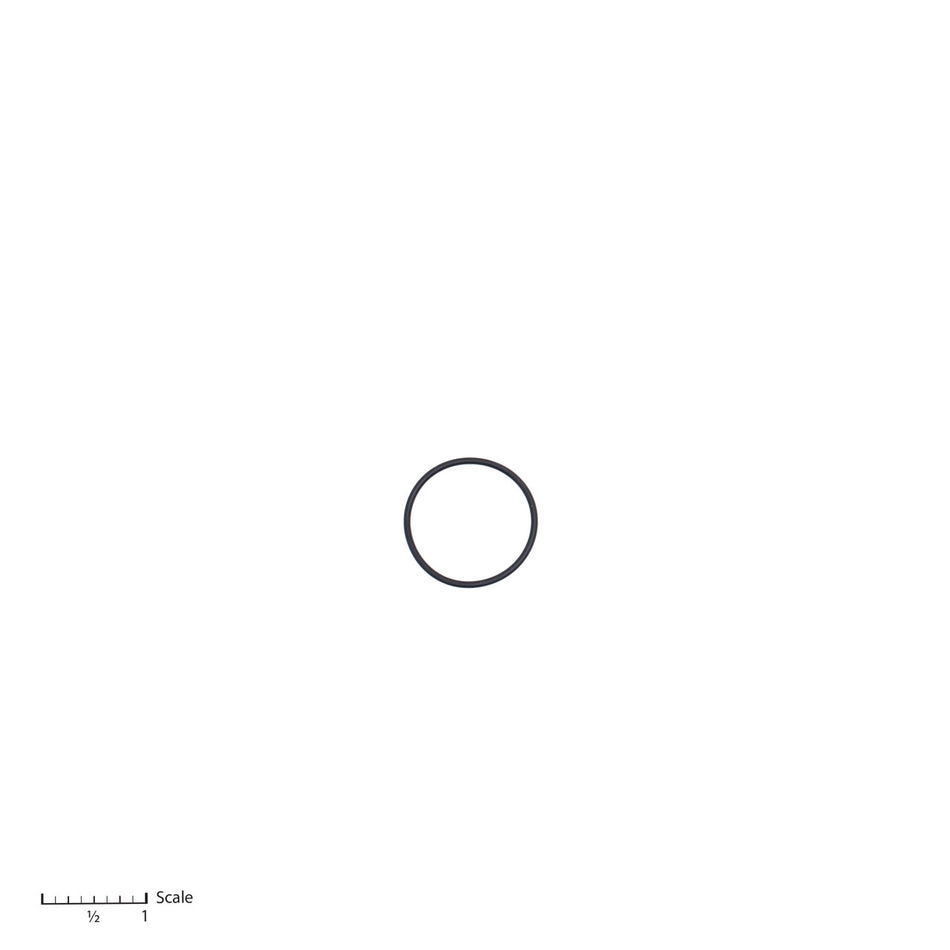 O-Ring