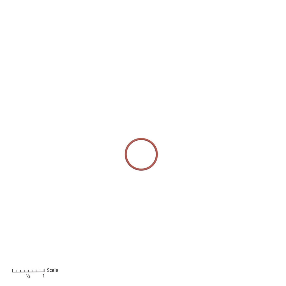 O-Ring