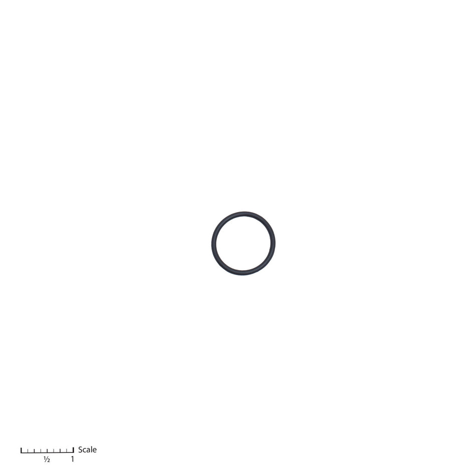 O-Ring