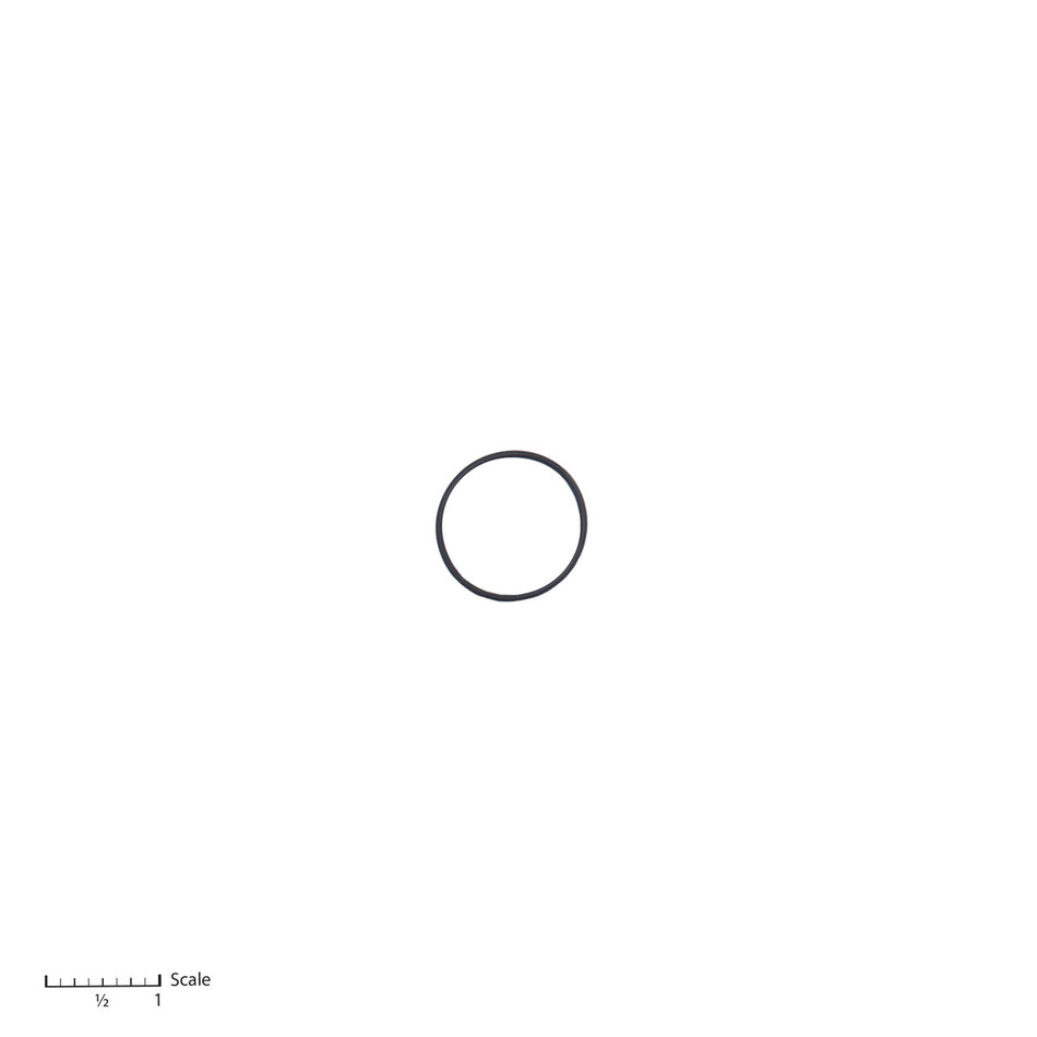 O-Ring