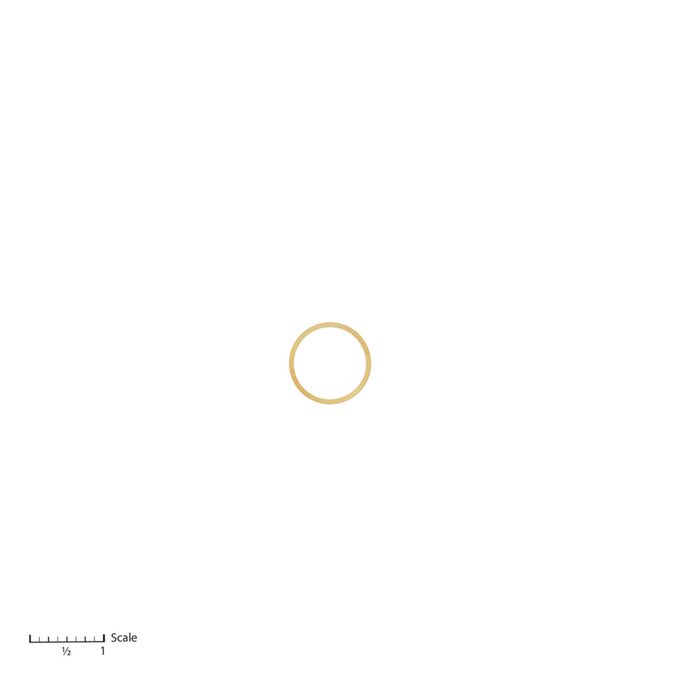 O-Ring