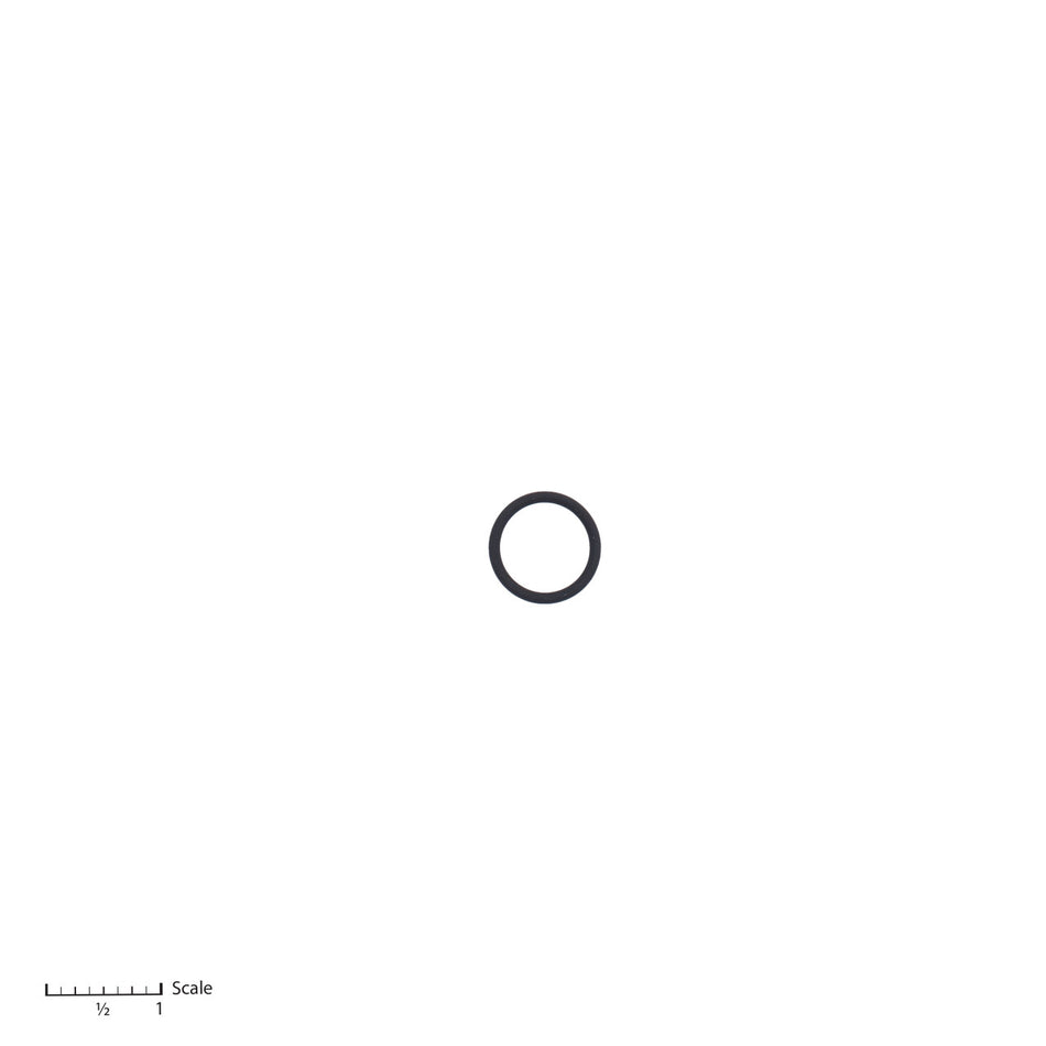 O-Ring