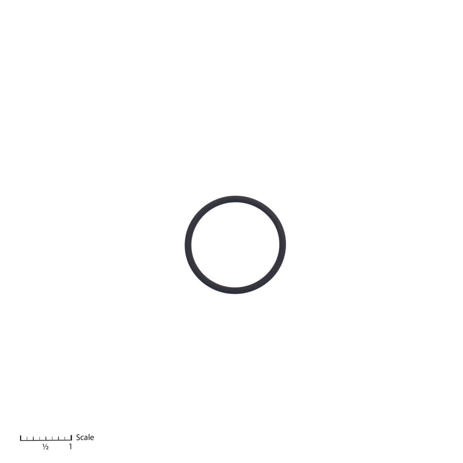 O-Ring
