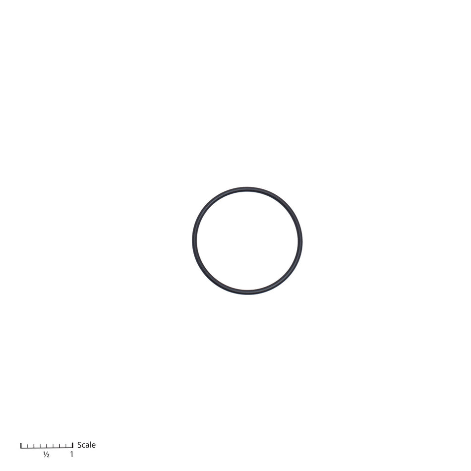 O-Ring