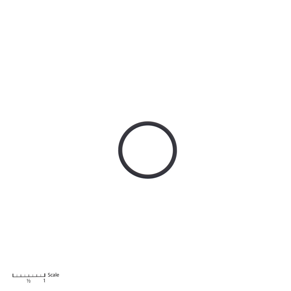 O-Ring