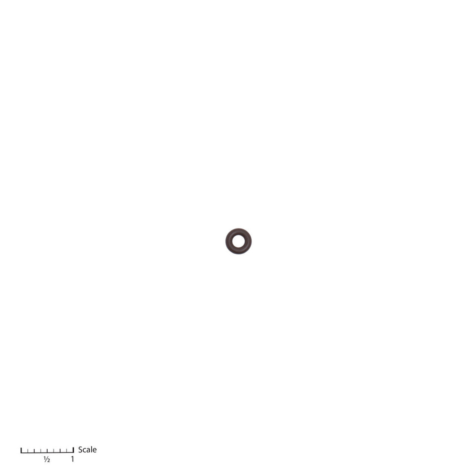 O-Ring