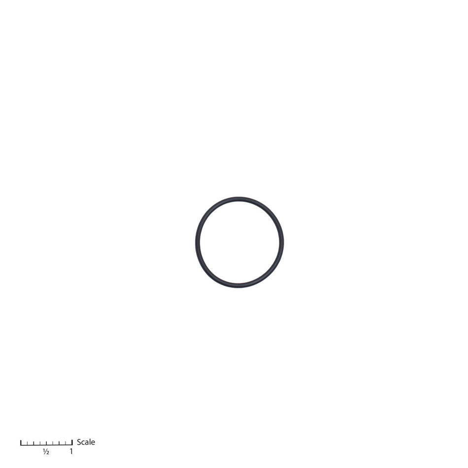 O-Ring