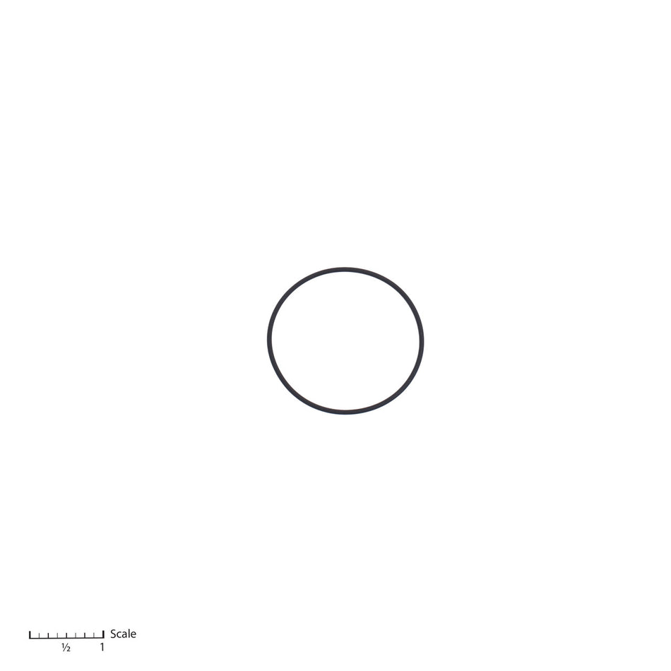 O-Ring