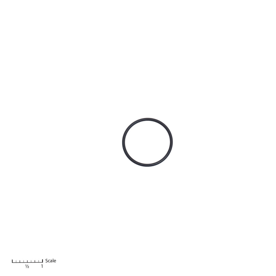 O-Ring