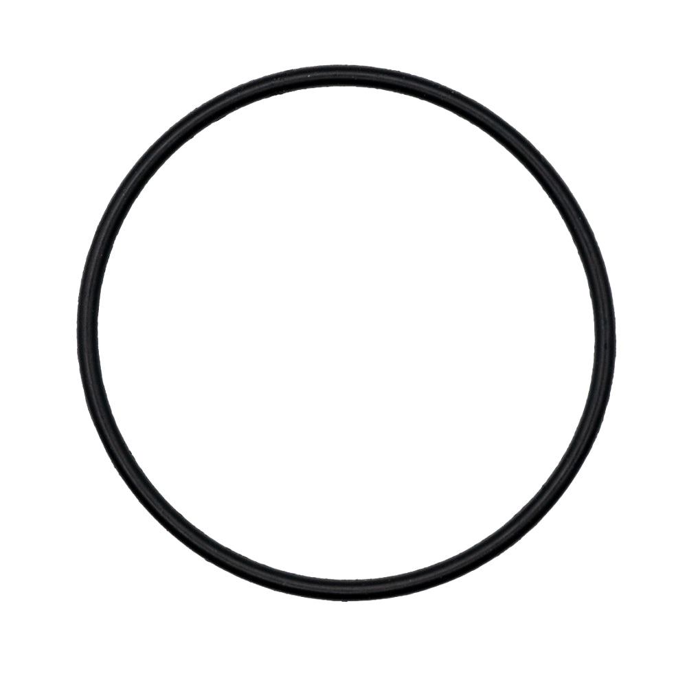 Foot Valve O-Ring