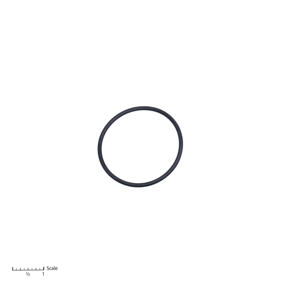 O-Ring