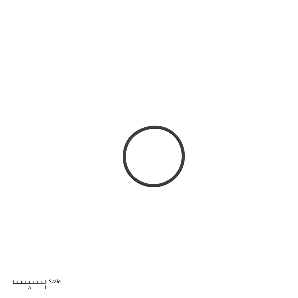 O-Ring