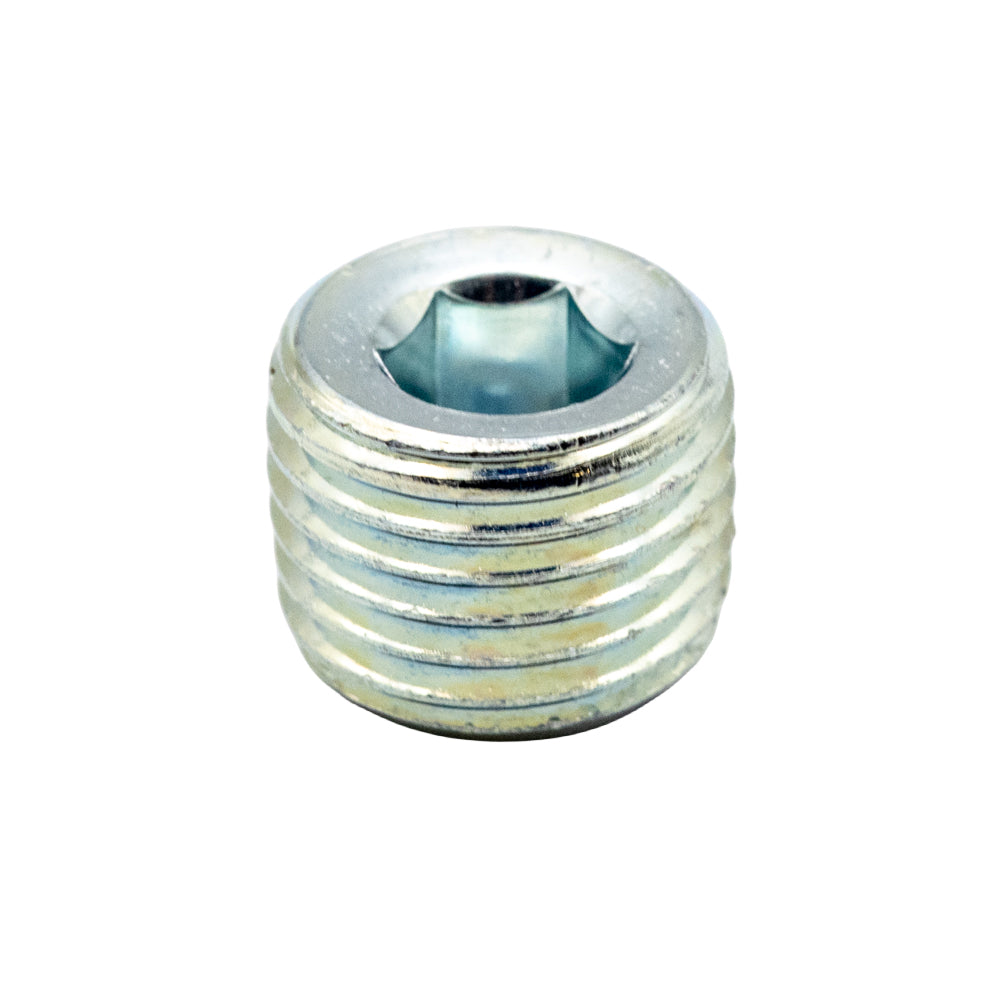 Plug, 1/4" NPT with Hex Socket End