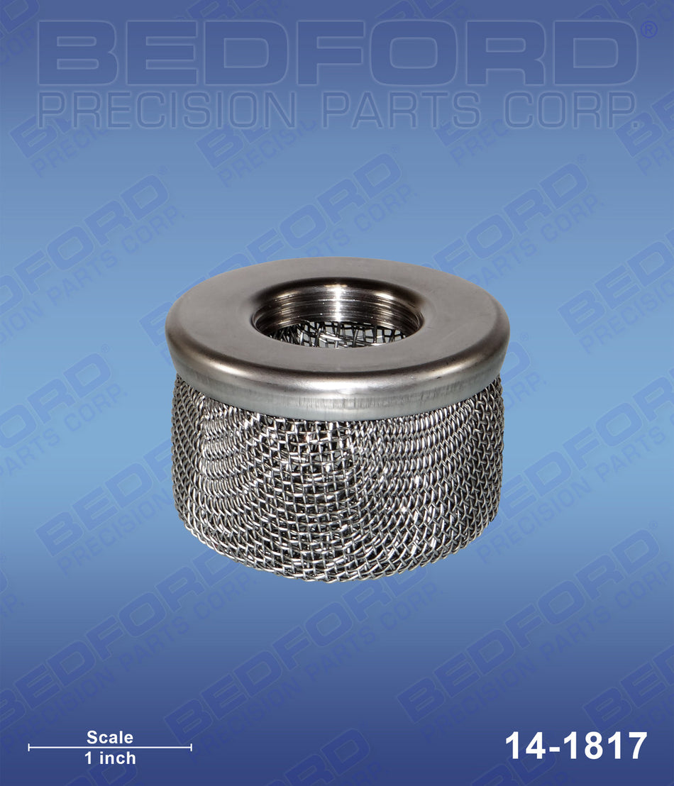 Inlet Strainer, 3/4" NPT Thread