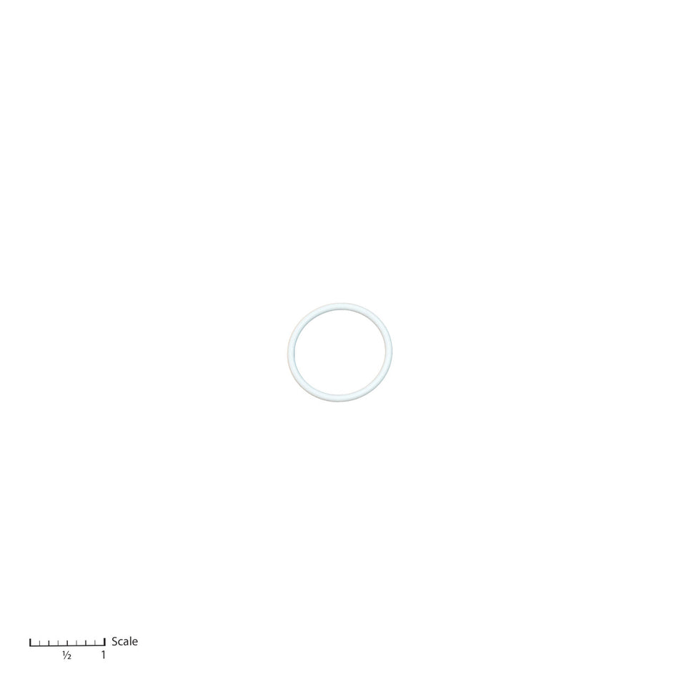 Teflon O-Ring