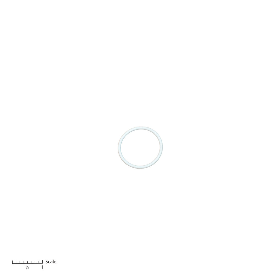 Teflon O-Ring