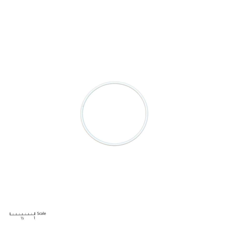 Teflon O-Ring