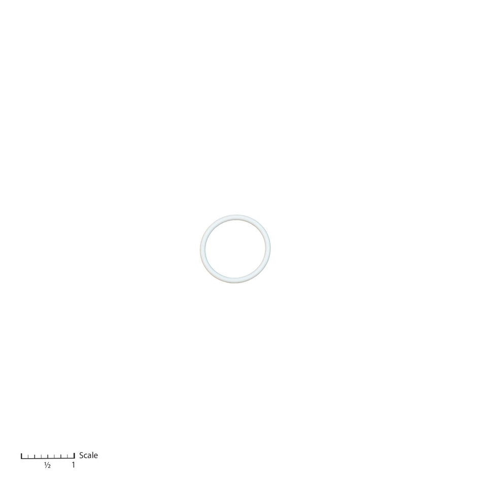 Teflon O-Ring