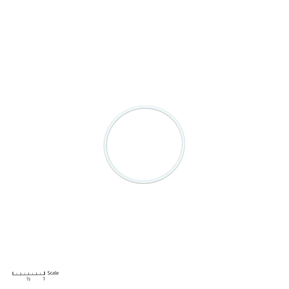 Teflon O-Ring