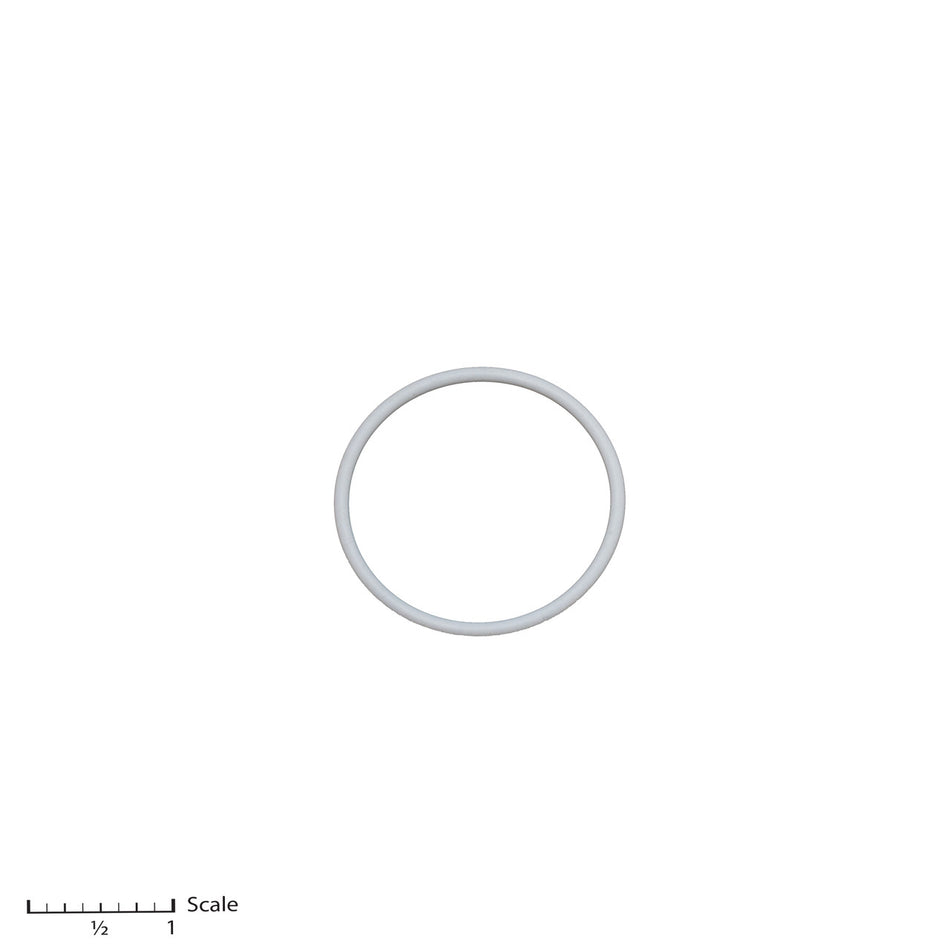Teflon O-Ring