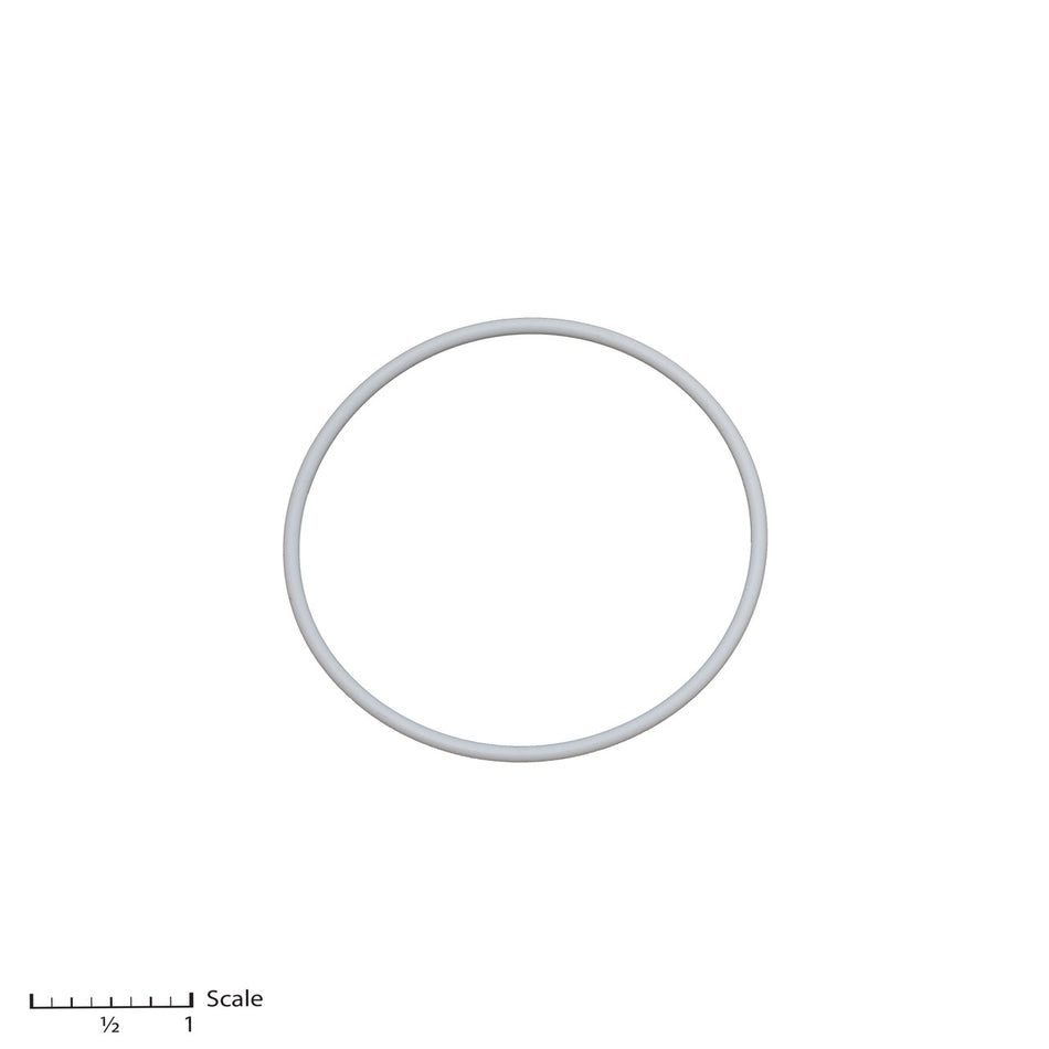 Teflon O-Ring