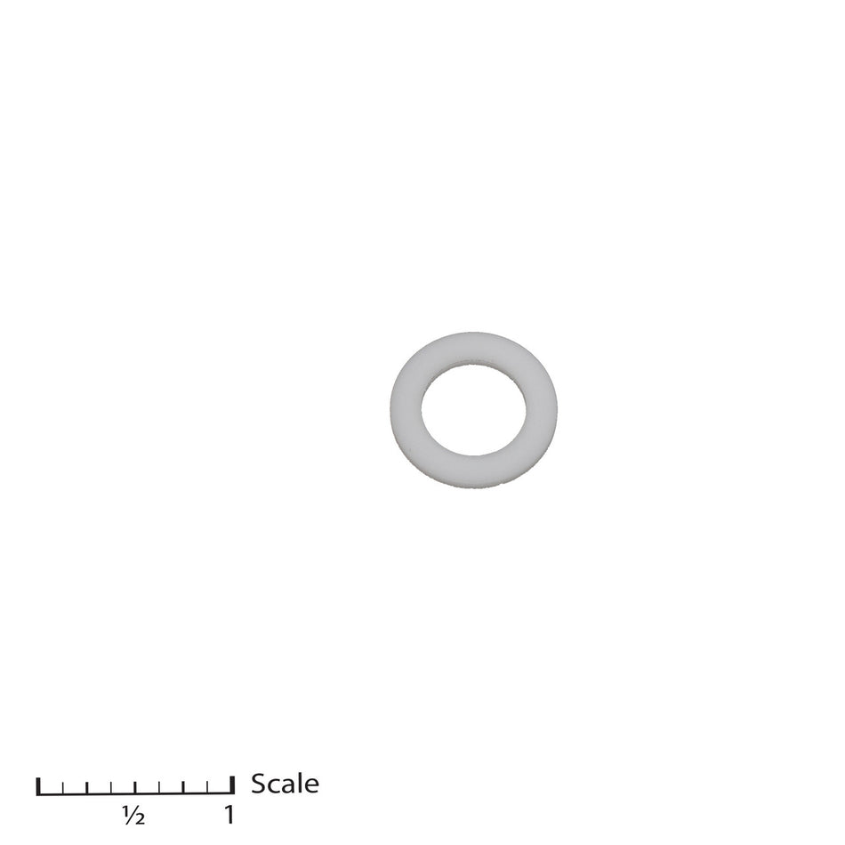 Male Gland