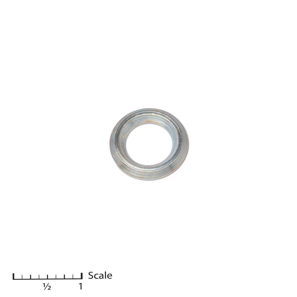 Male Gland