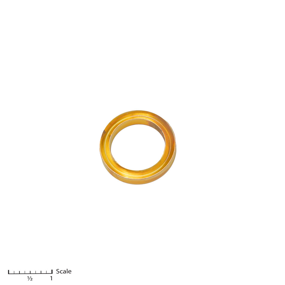 Female Gland
