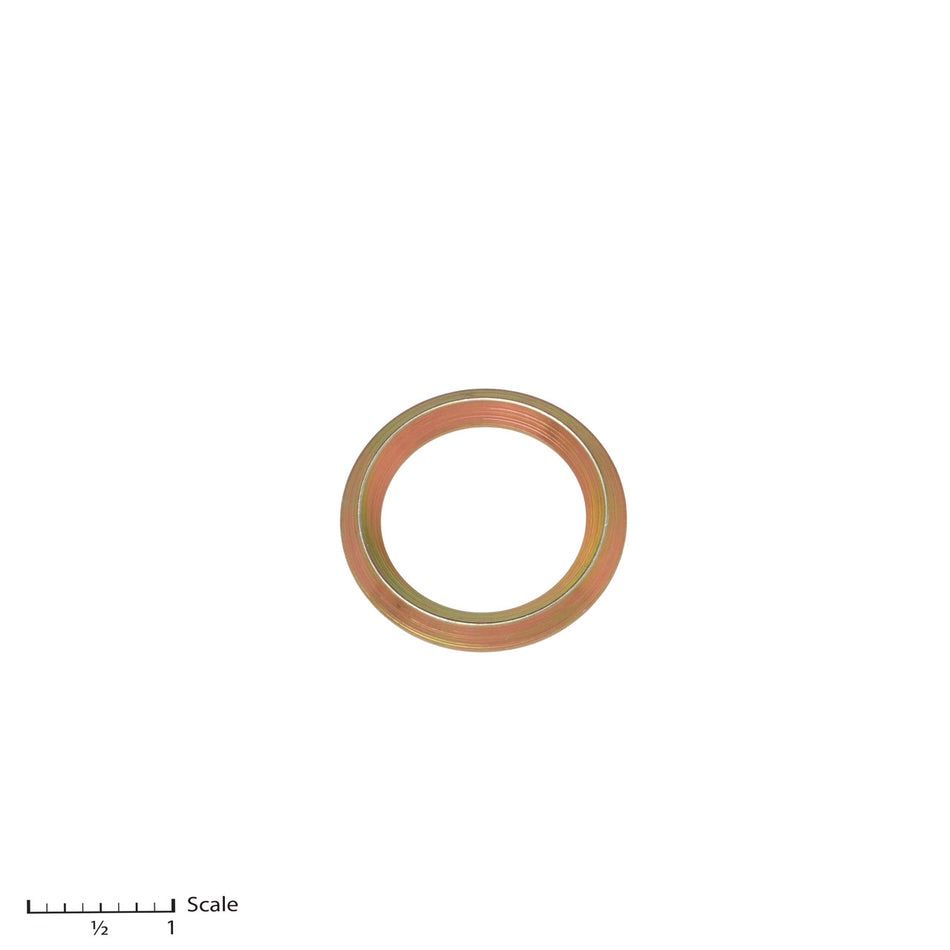 Male Gland