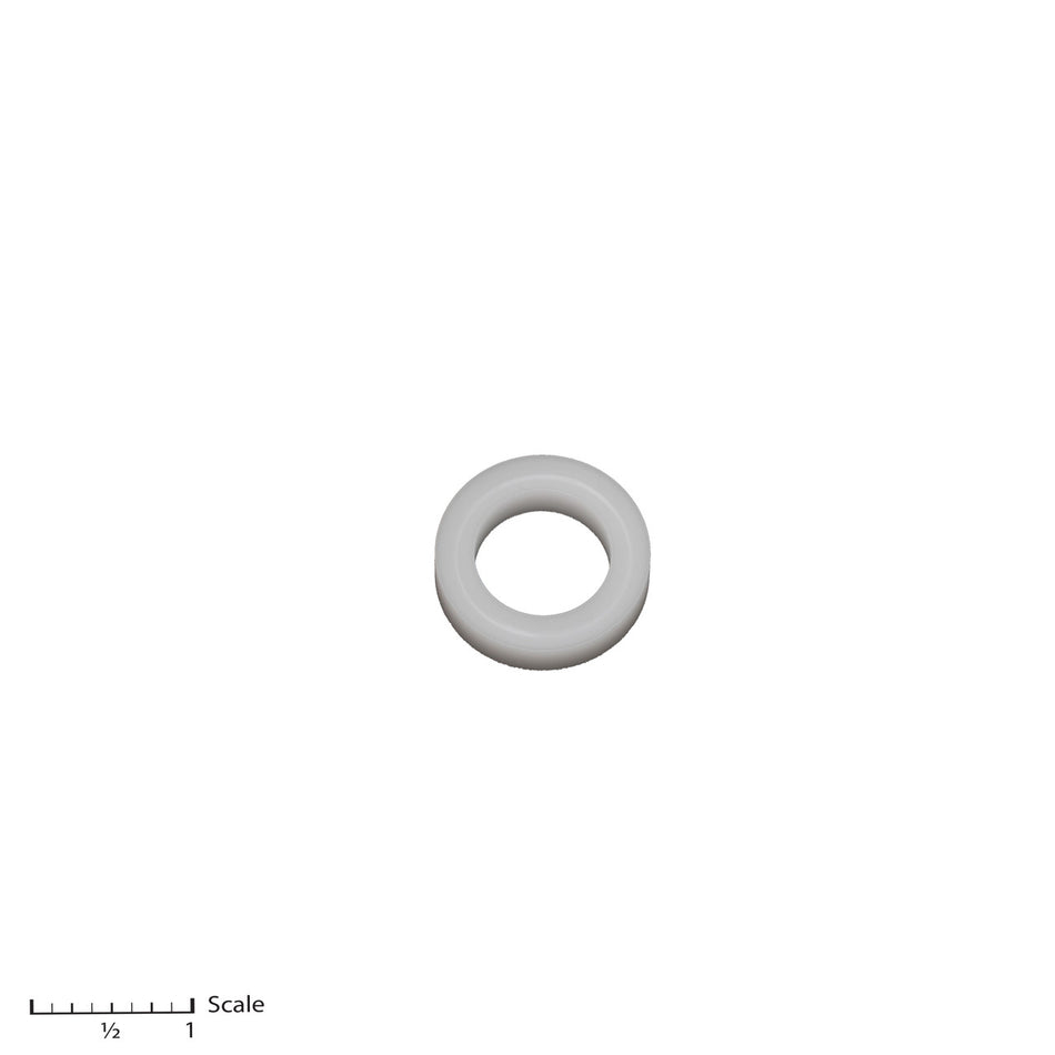Female Gland