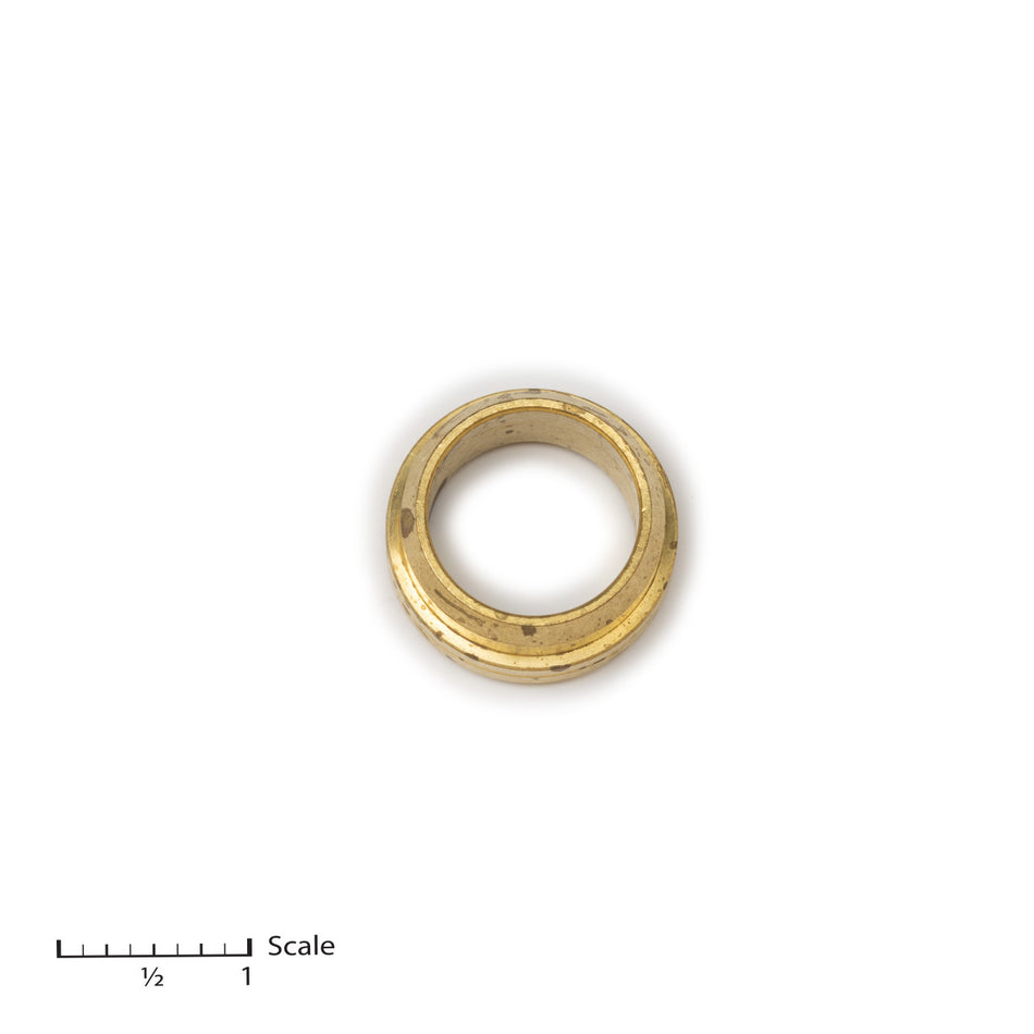 Glándula masculina, superior