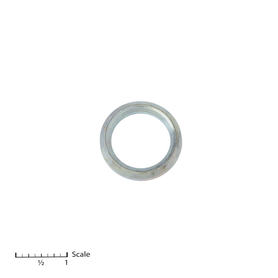 Glándula masculina (1 pieza, pedido por glándula)