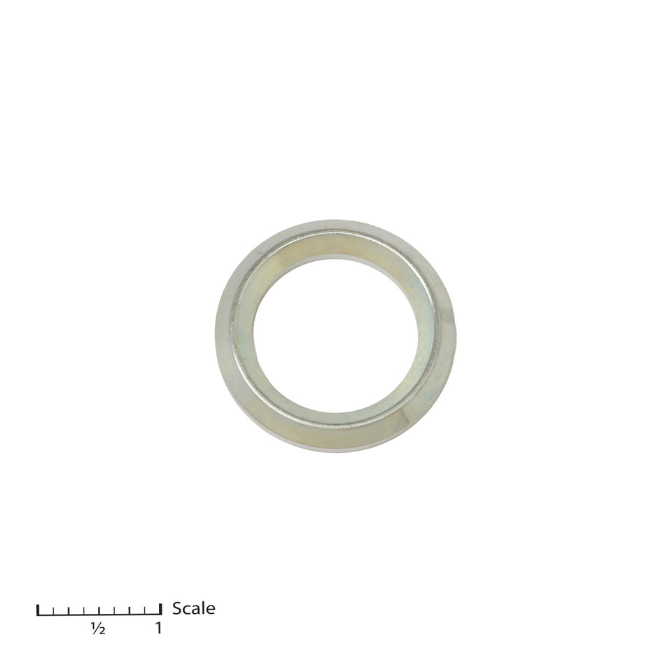 Glándula masculina (1 pieza, pedido por glándula)