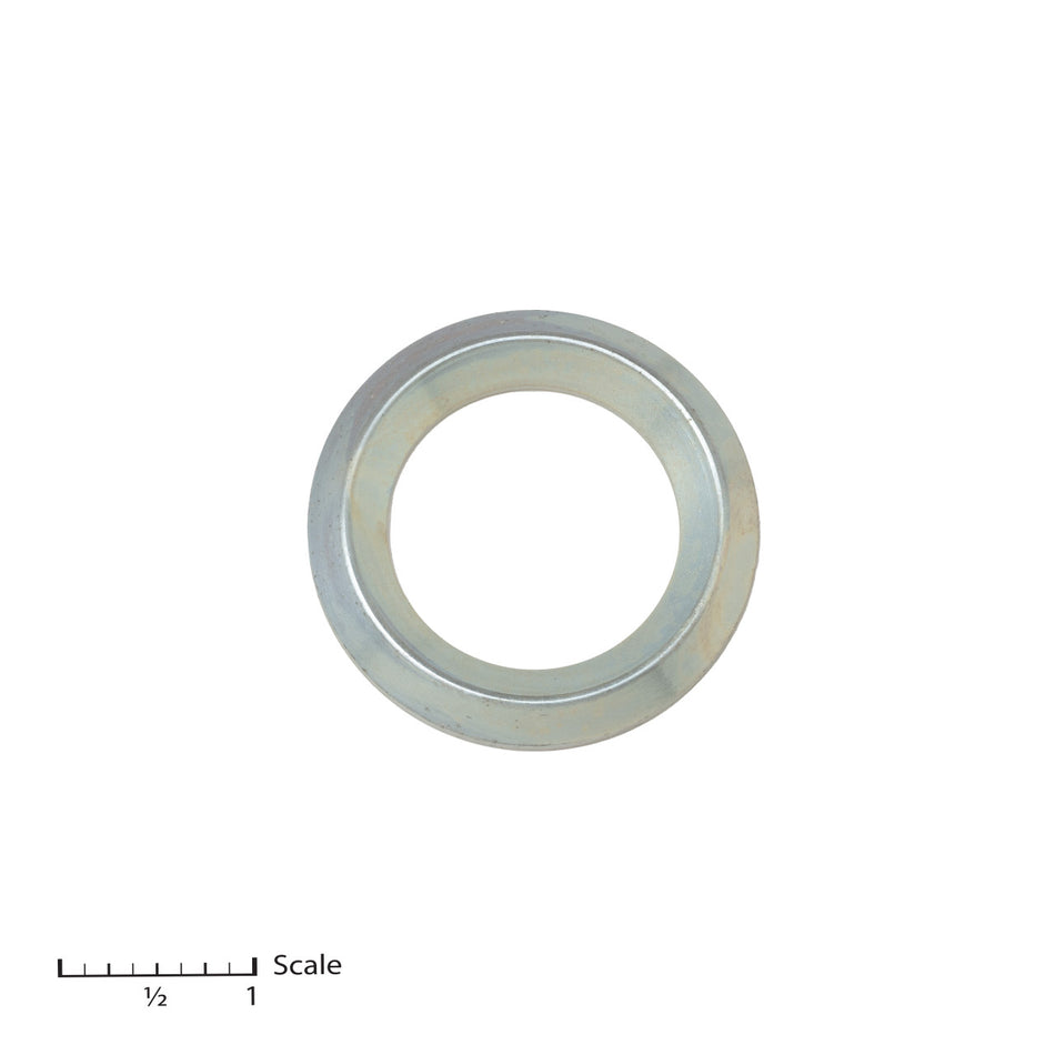 Glándula masculina (1 pieza, pedido por glándula)