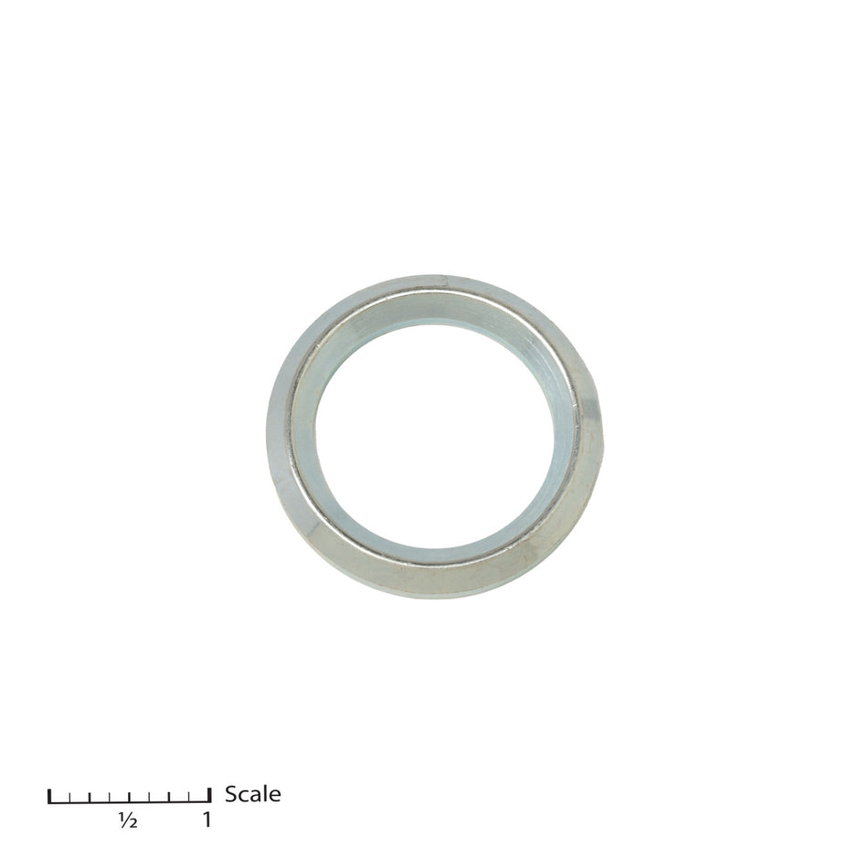 Glándula masculina (1 pieza, pedido por glándula)