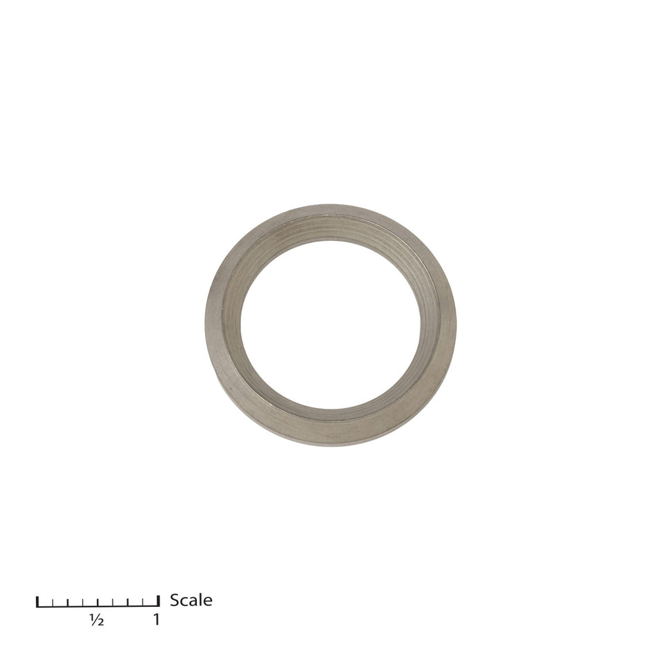 Male Gland