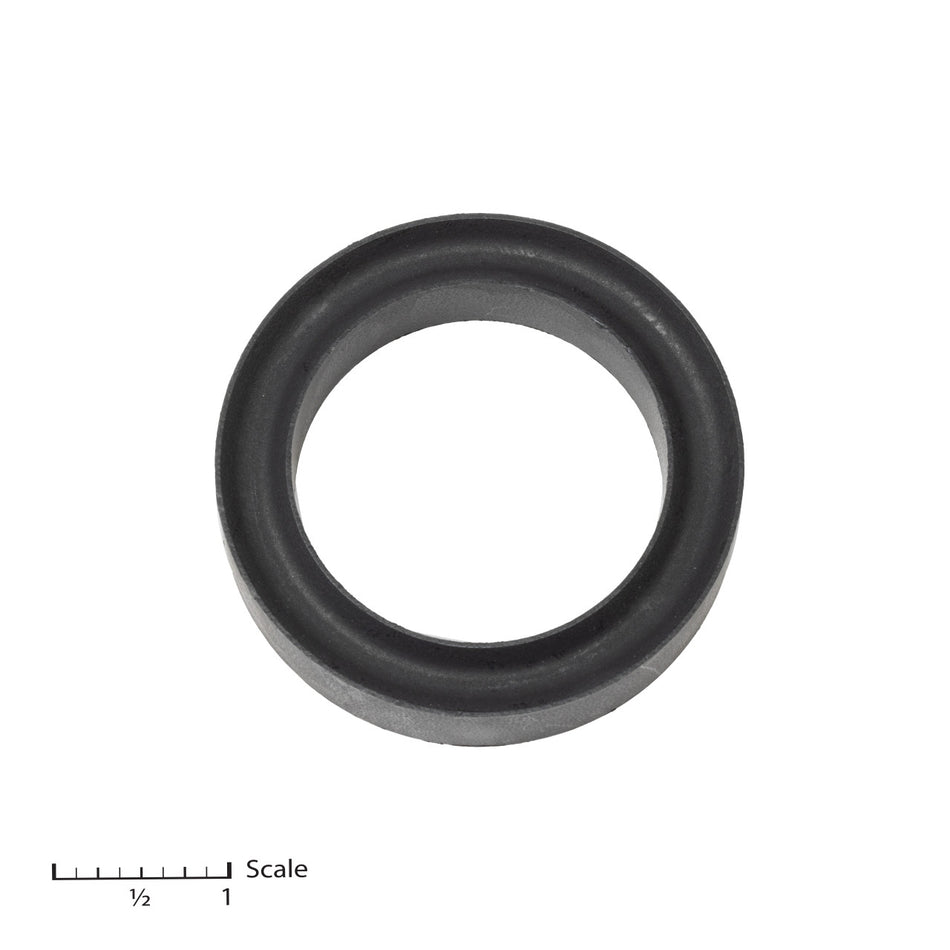 Female Gland