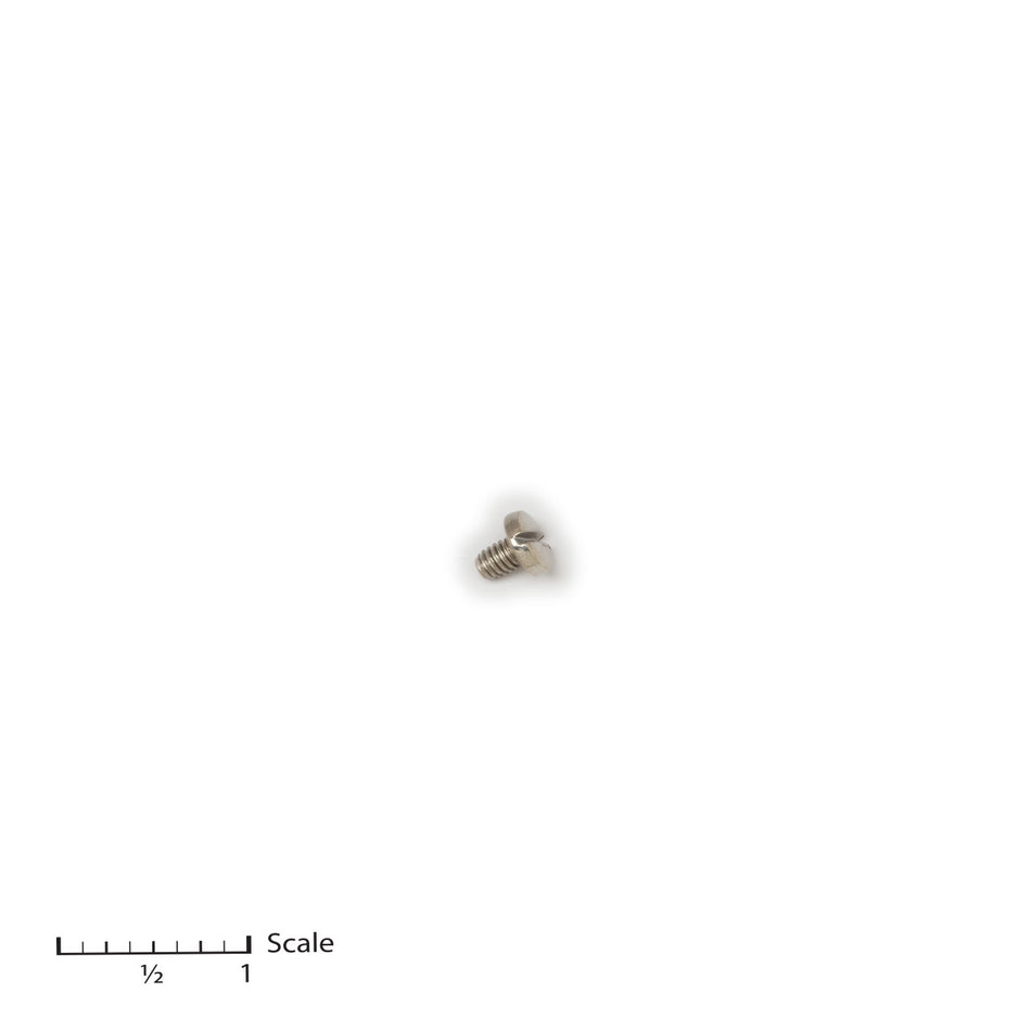 Trigger Screw (1-20-35)