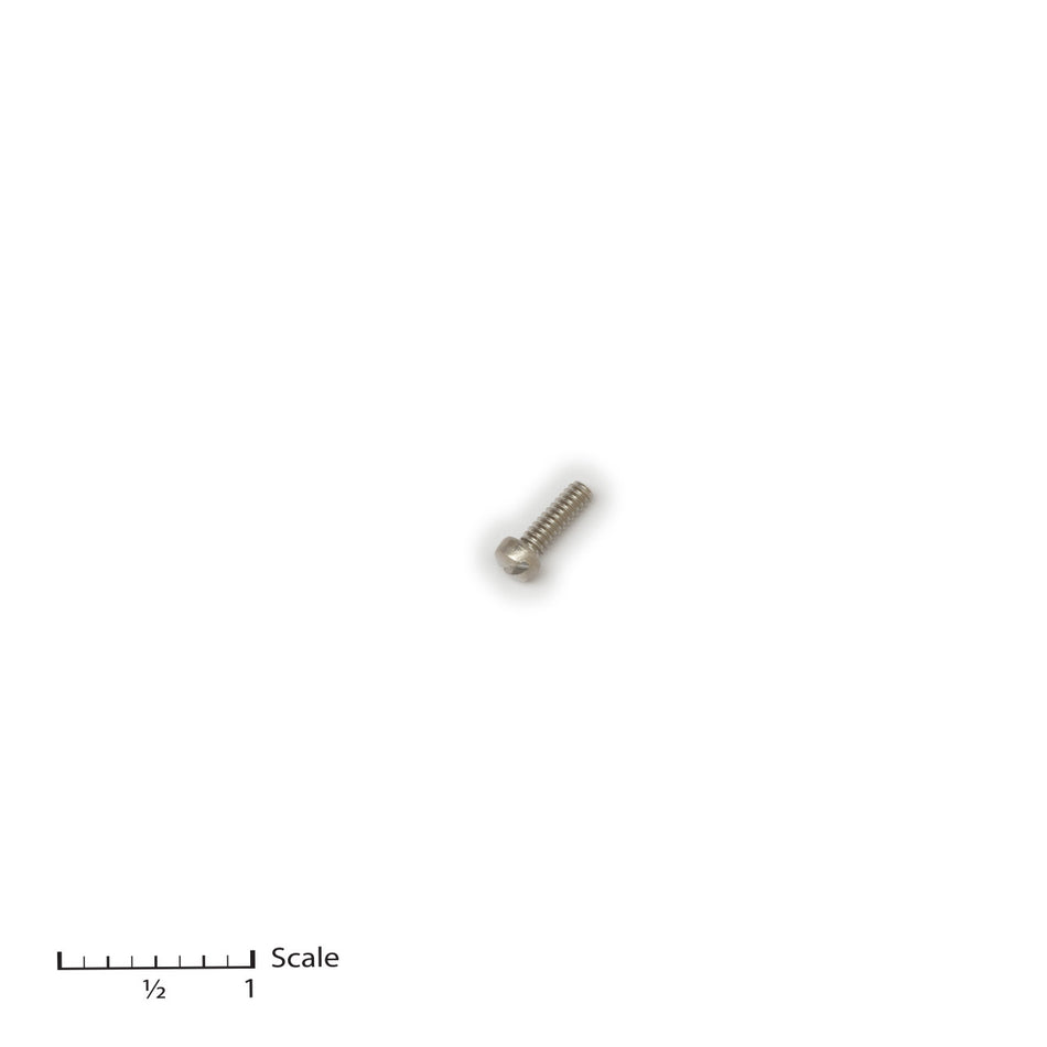 Screw