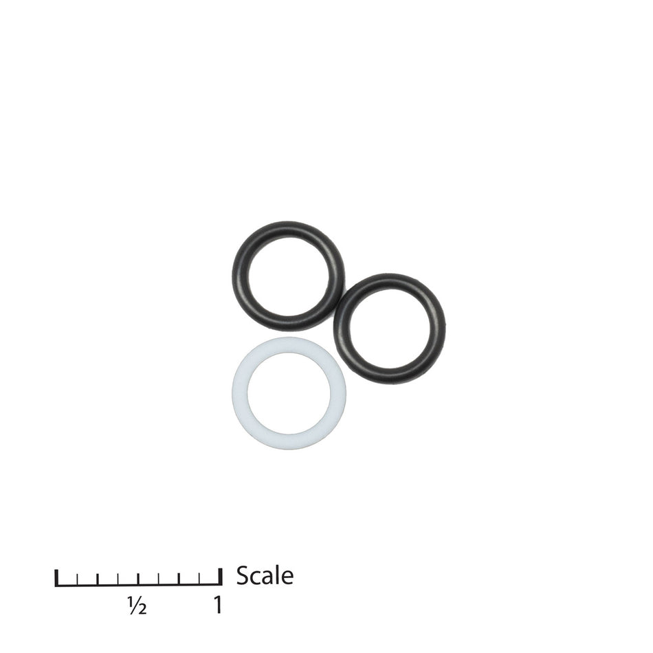 O-Ring / Backup Ring Set
