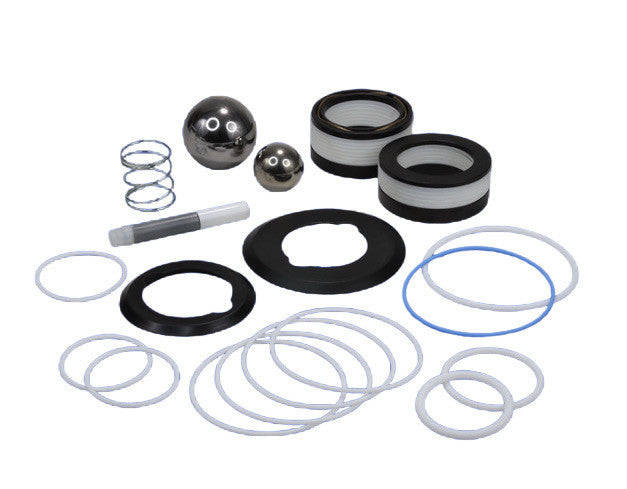 Graco 25D248 Pump Repair Kit | Xtreme 290cc - TFE – Bedford Precision