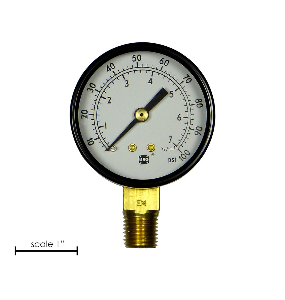 Gauge,1/4" NPT Bottom Mount,0-100 PSI,2"