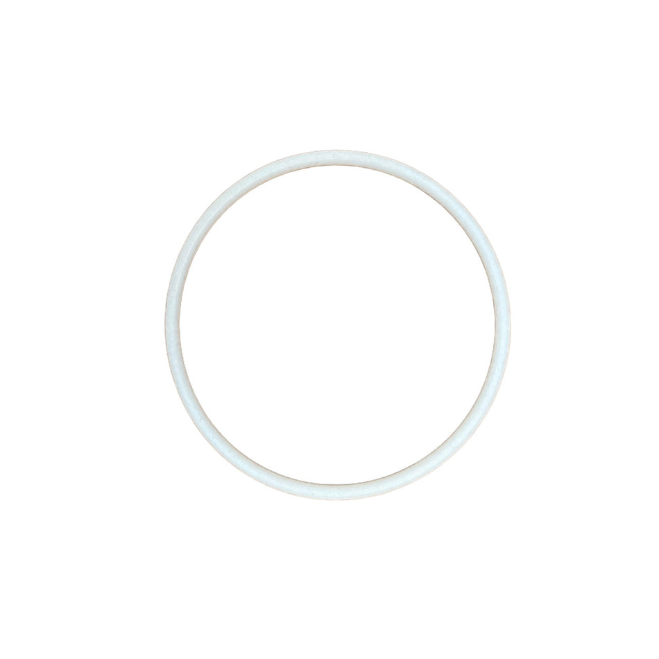 Teflon O-Rings (10-Pack)