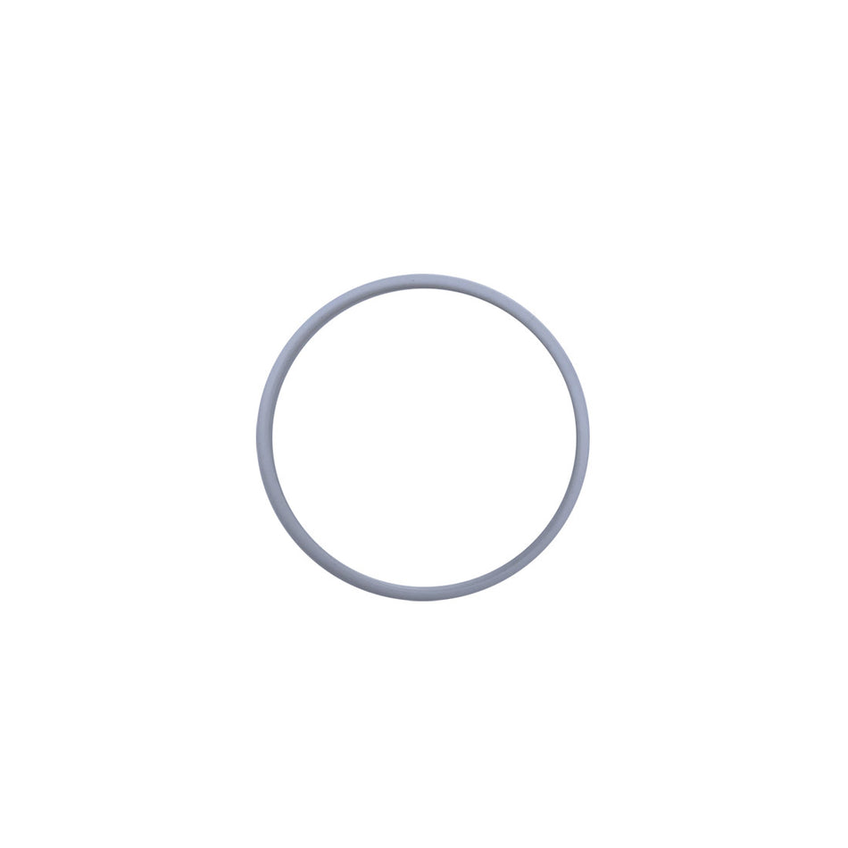 Backup Ring
